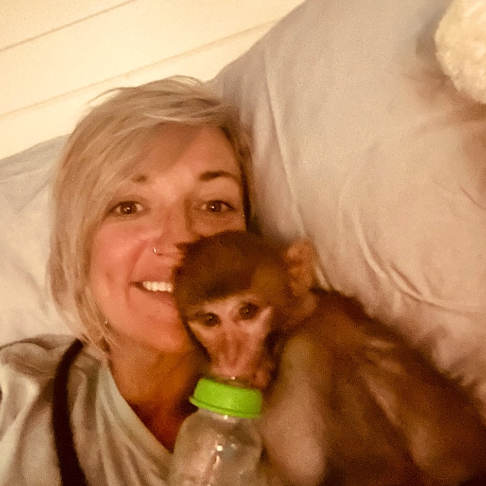 Meet your Posher, Posh